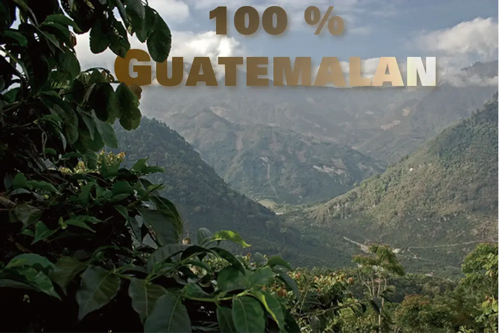 rahm-roast-100-percent-guatemalan-coffee